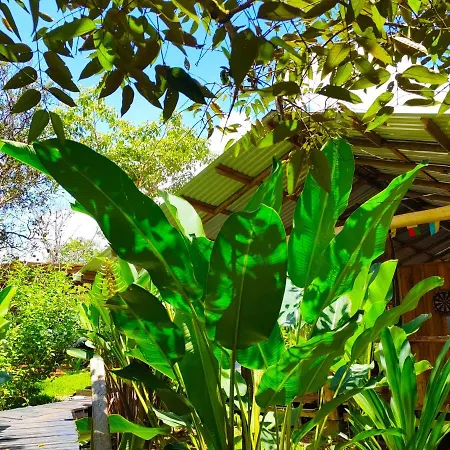Onca Tours & Treehouses Katira Exterior photo