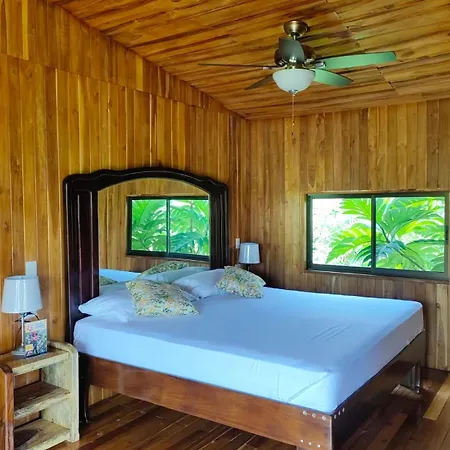 Onca Tours & Treehouses Katira Exterior photo