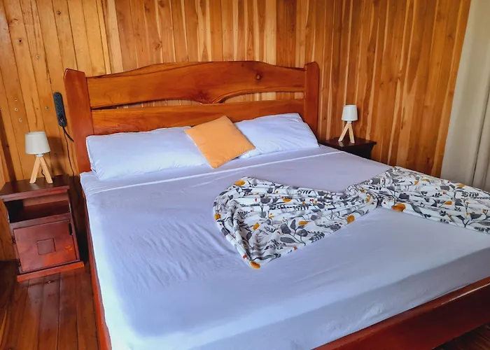 Onca Tours & Treehouses