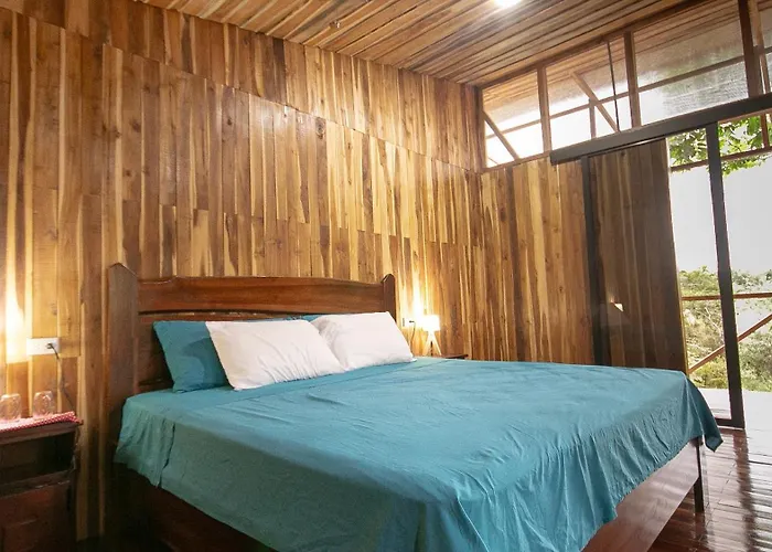 Onca Tours & Treehouses