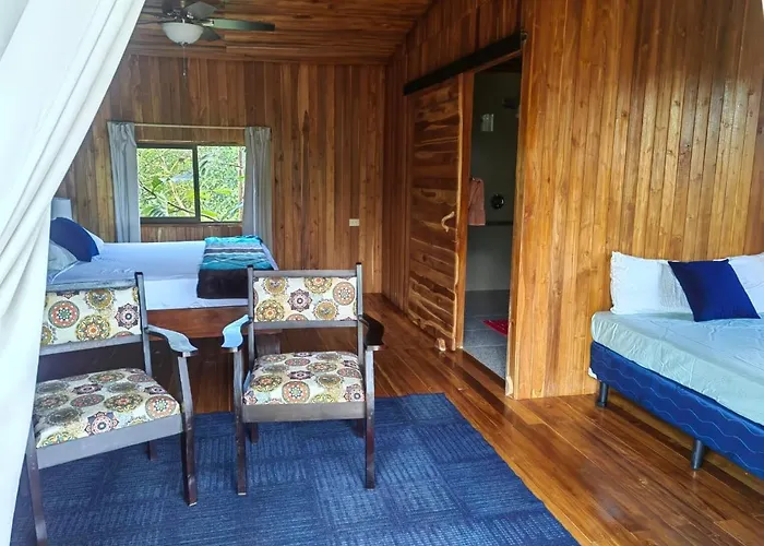 Onca Tours & Treehouses