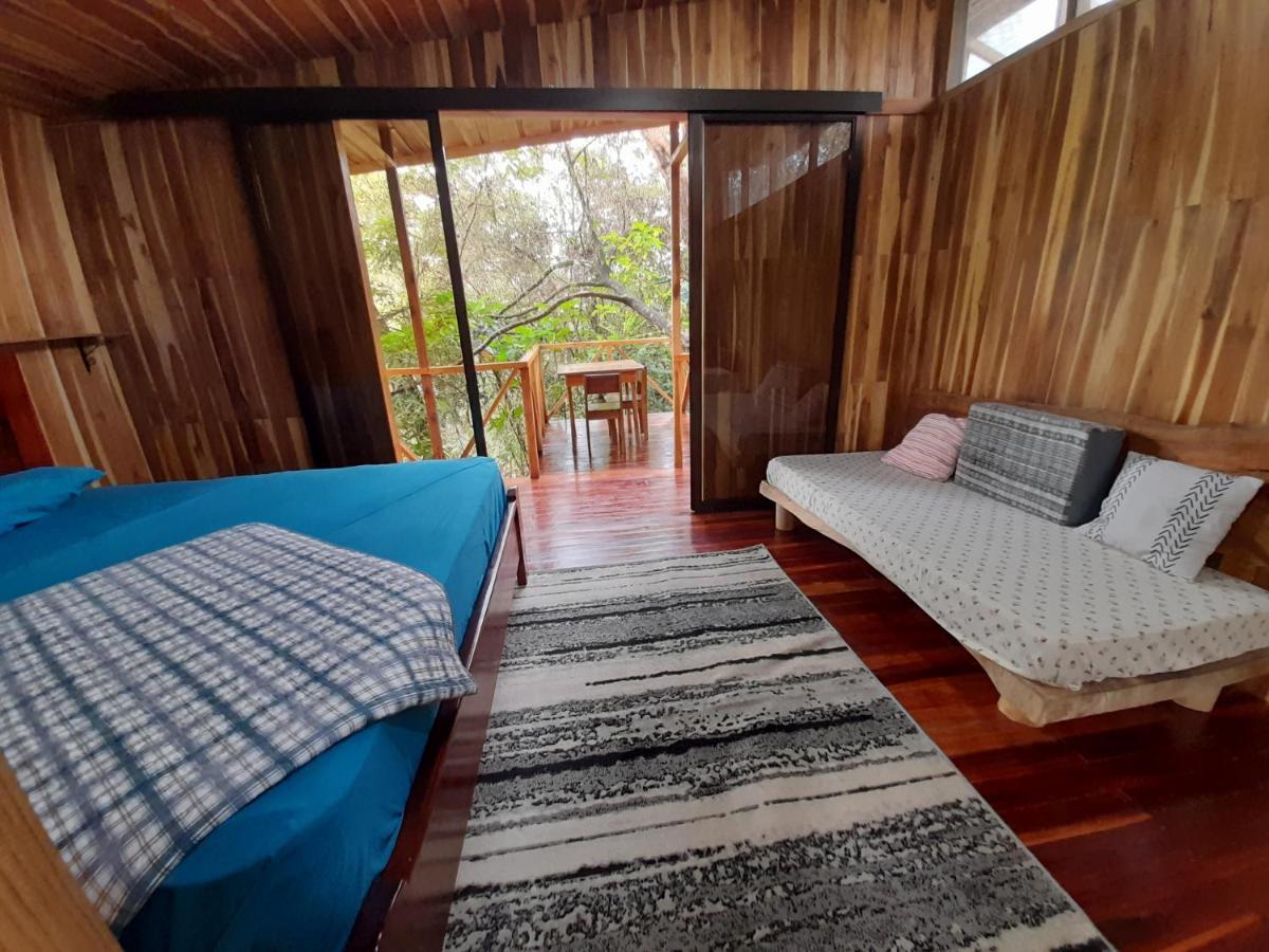 Lodge Onca Tours & Treehouses *