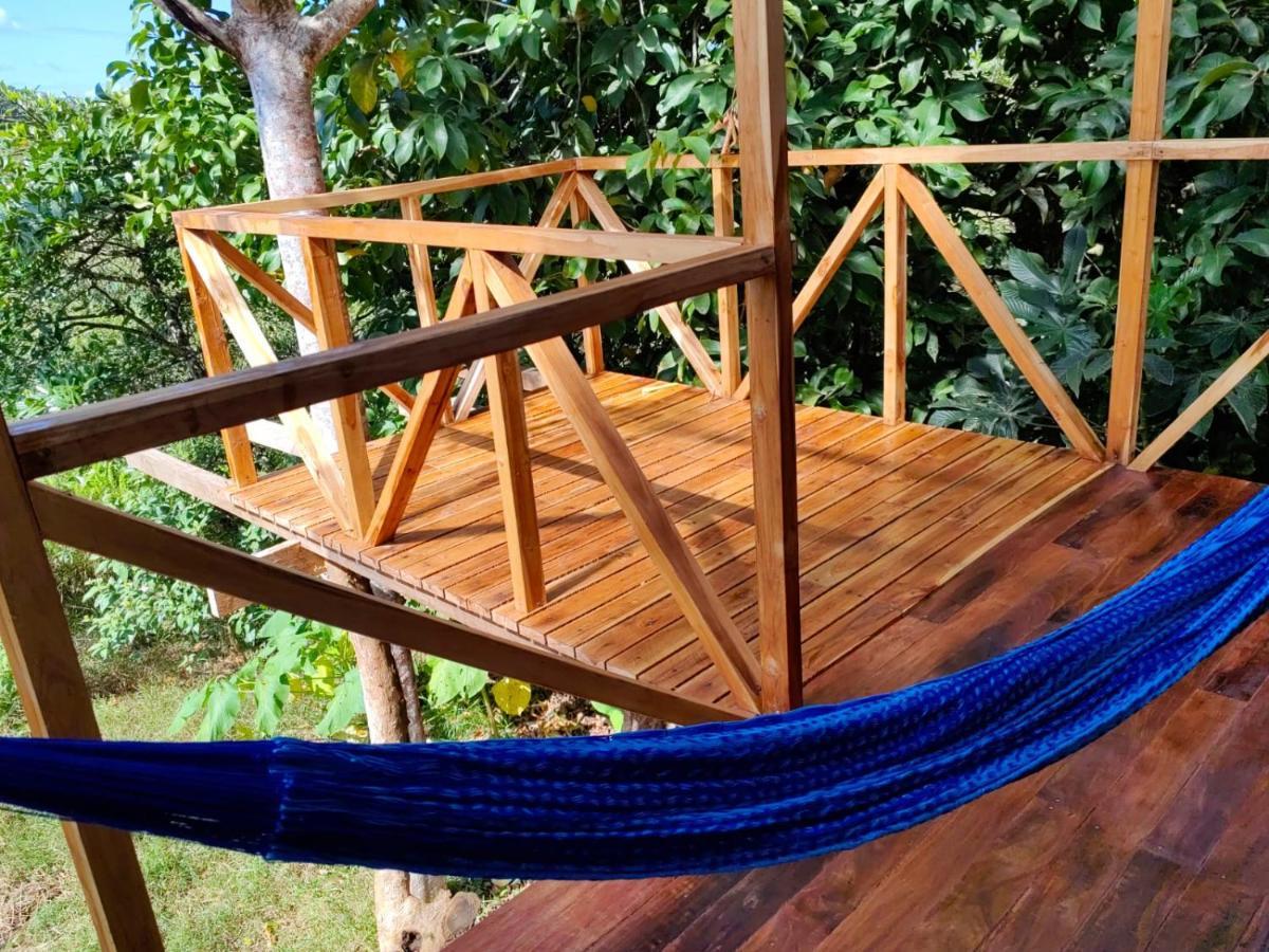 Lodge Onca Tours & Treehouses *